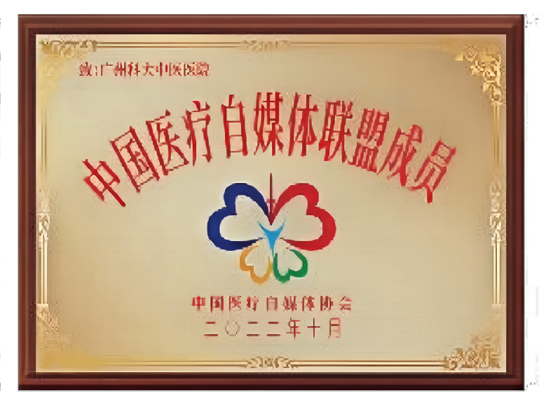 行业荣誉认可